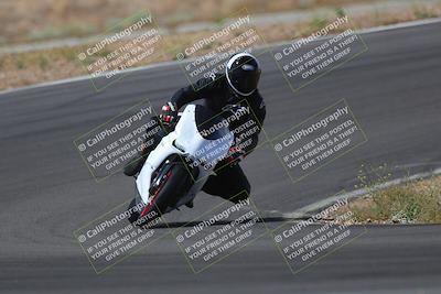 media/May-09-2022-Moto Forza (Mon) [[0226cf3505]]/Group B/B 1020am/